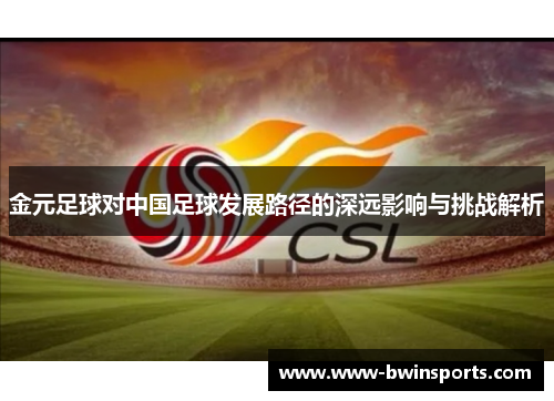 金元足球对中国足球发展路径的深远影响与挑战解析