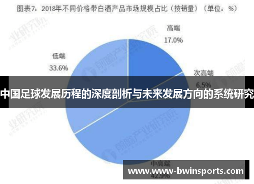 中国足球发展历程的深度剖析与未来发展方向的系统研究