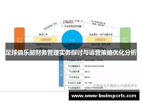 足球俱乐部财务管理实务探讨与运营策略优化分析
