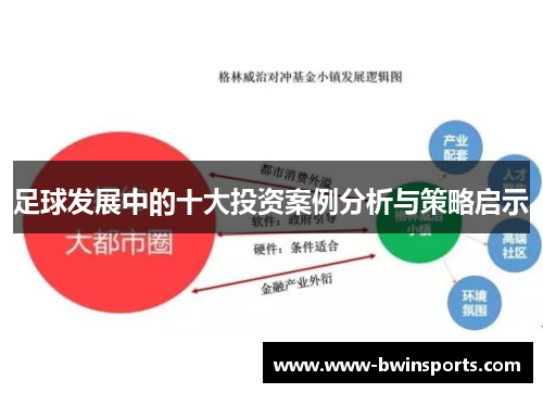 足球发展中的十大投资案例分析与策略启示