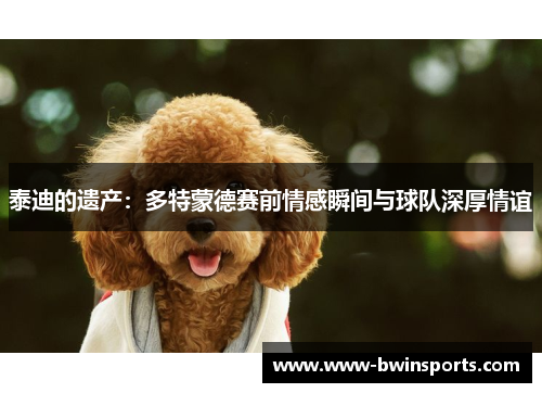 泰迪的遗产：多特蒙德赛前情感瞬间与球队深厚情谊